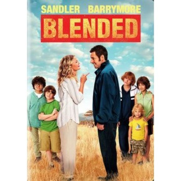 Blended DVD (Full Screen) Barrymore Sandler Family Vacation Comedy 2014 - Picture 1 of 5